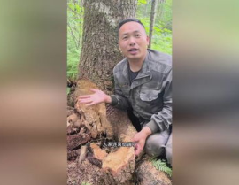 吃瓜抖音网红星野,吃瓜抖音网红的崛起之路
