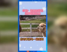 娱乐吃瓜系统,吃瓜群众必备的幕后故事大盘点