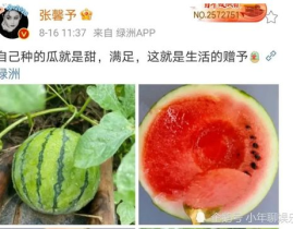 娱乐圈吃瓜的瓜,揭秘明星背后的故事与争议
