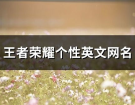 个性英语网名,展现独特魅力的网络标识