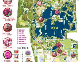 娱乐地图论坛杭州,畅游杭城，解锁城市夜生活新篇章