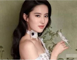 娱乐吃瓜网名女生名字,揭秘网名“瓜香四溢”女生的神秘魅力