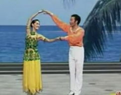 杨艺交谊舞,创新与传承的中国交谊舞传奇