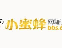 163网赚论坛,回顾2015年网赚论坛的兴衰历程