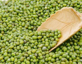 娱乐吃瓜二豆,揭秘二豆背后的故事与真相