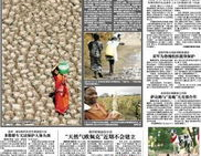 浙江省重大工程交易网,助力企业高效参与工程招标与交易